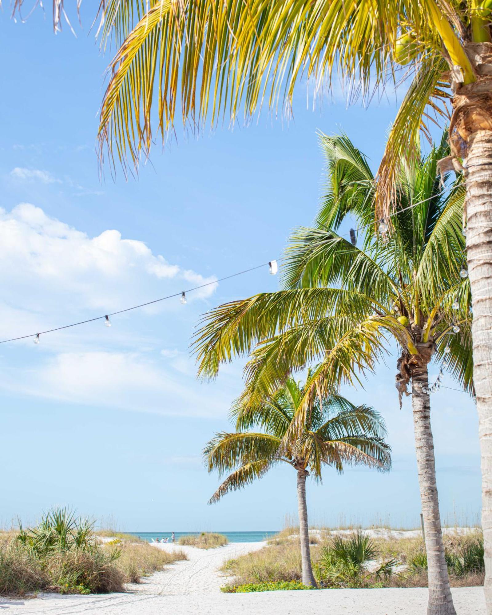 The Molloy - Treasure Island Suites & Cottages セント・ピート・ビーチ エクステリア 写真